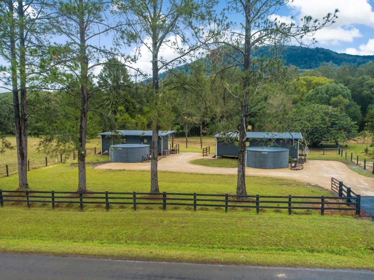 Contained In Nimbin Accommodation Экстерьер фото